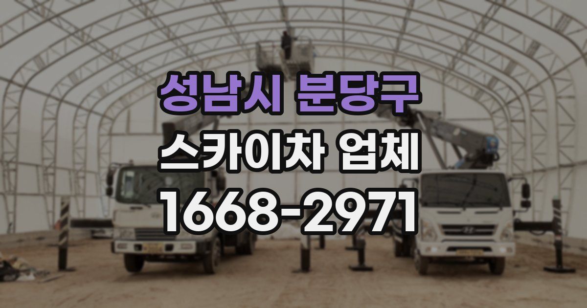 성남시 분당구 스카이차 업체