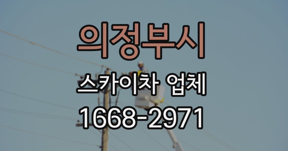 의정부시 스카이차 업체