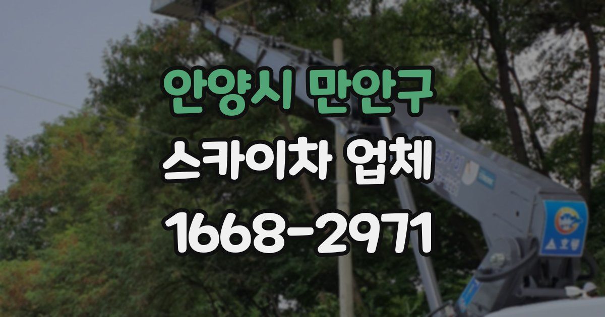안양시 만안구 스카이차 업체