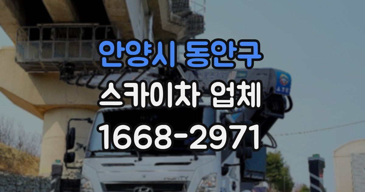 안양시 동안구 스카이차 업체