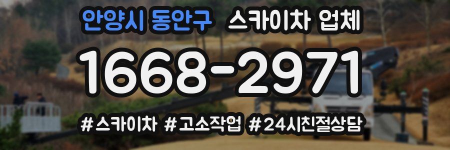 안양시 동안구 스카이차 업체