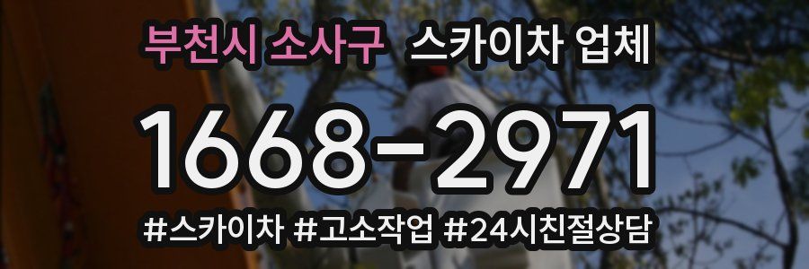 부천시 소사구 스카이차 업체