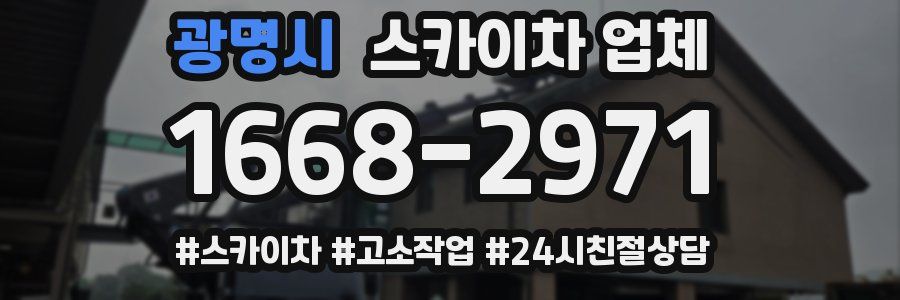 광명시 스카이차 업체