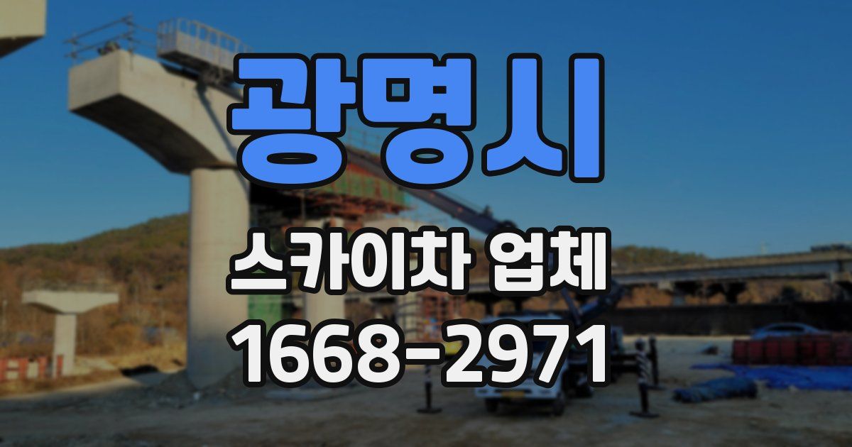 광명시 스카이차 업체