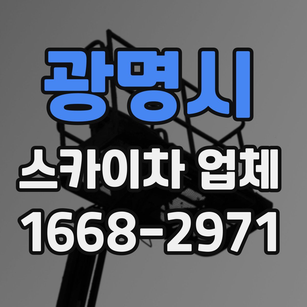 광명시 스카이차 업체
