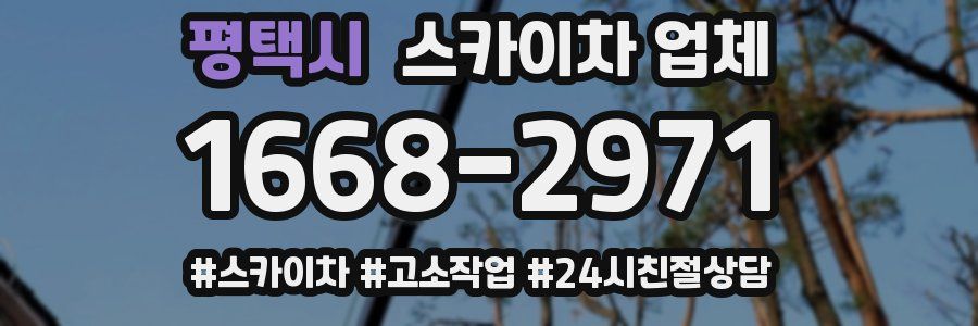 평택시 스카이차 업체