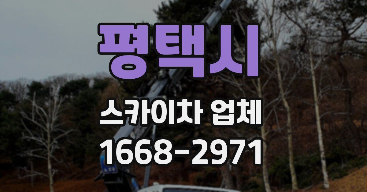 평택시 스카이차 업체