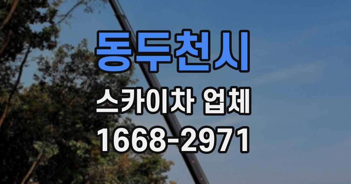 동두천시 스카이차 업체