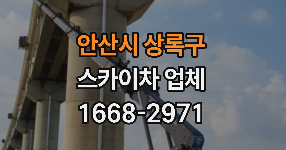 안산시 상록구 스카이차 업체
