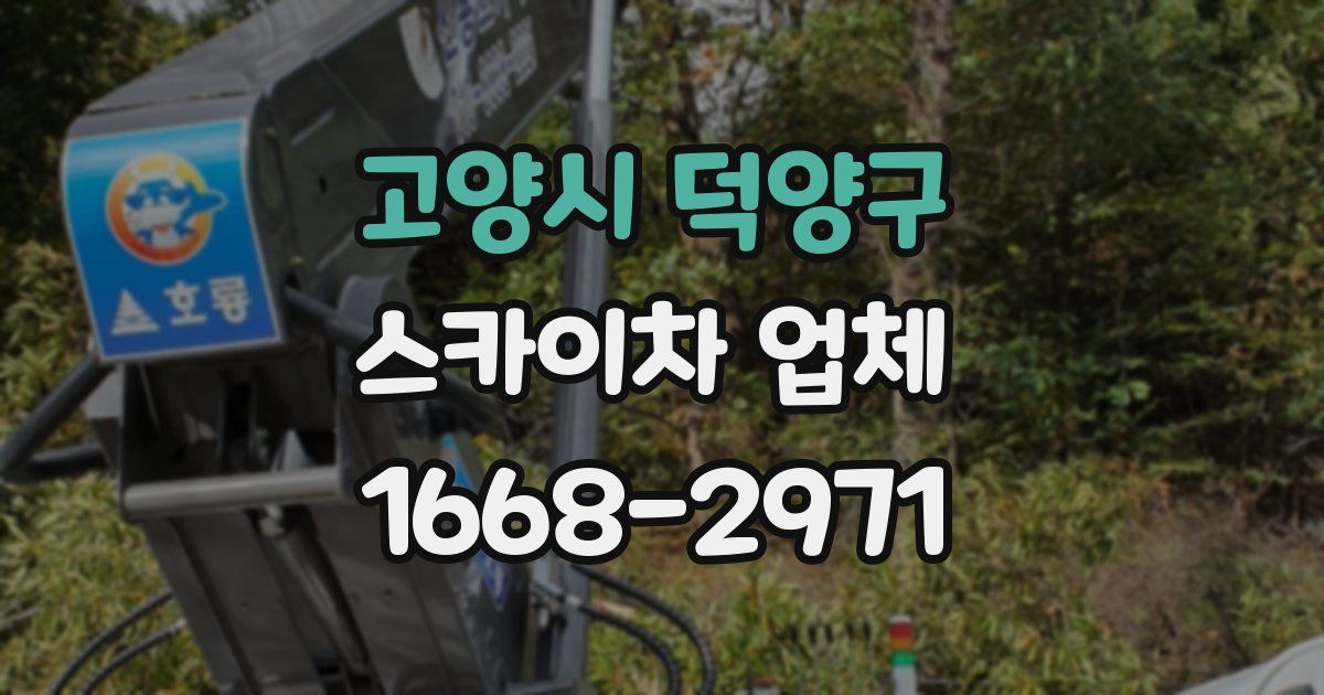 고양시 덕양구 스카이차 업체