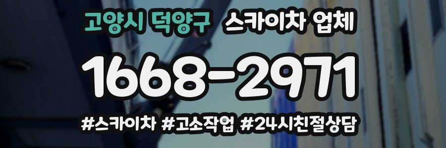 고양시 덕양구 스카이차 업체
