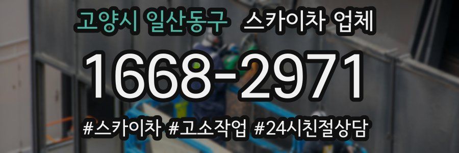 고양시 일산동구 스카이차 업체
