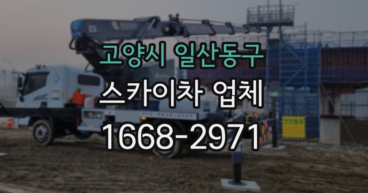 고양시 일산동구 스카이차 업체