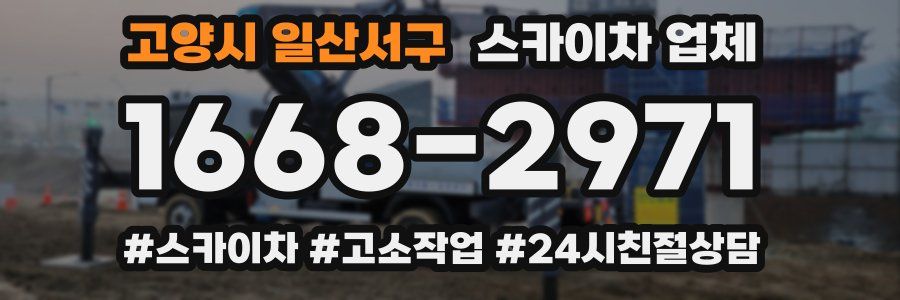 고양시 일산서구 스카이차 업체