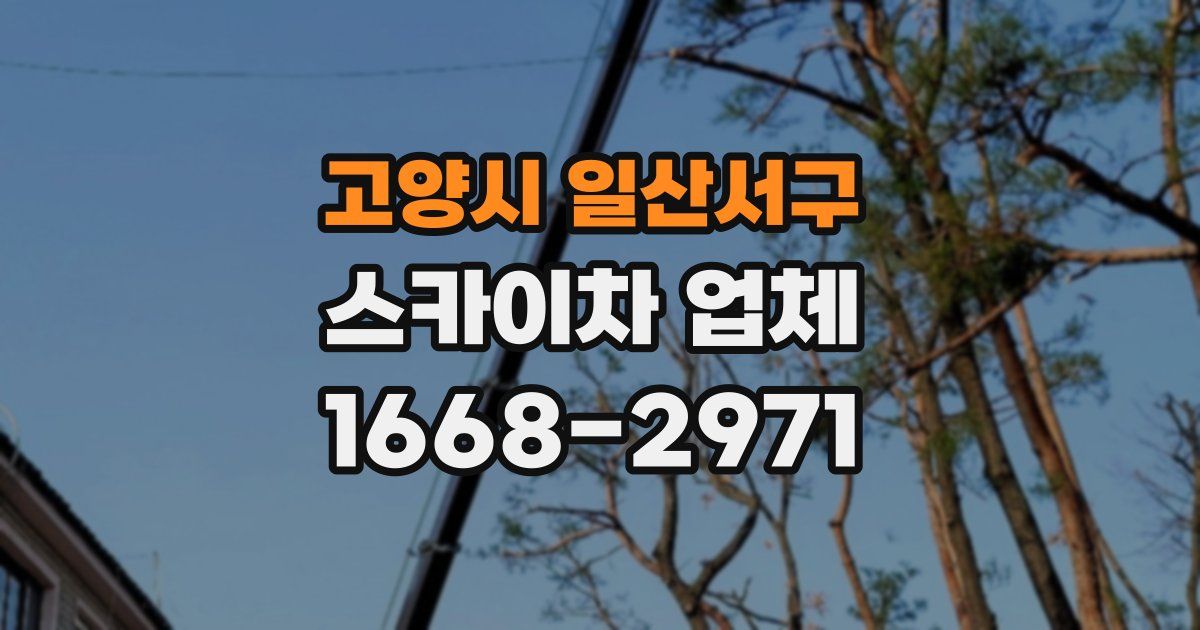 고양시 일산서구 스카이차 업체