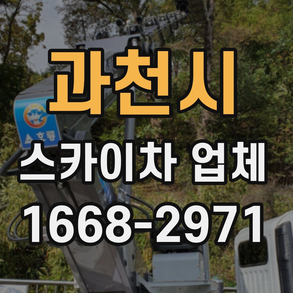 과천시 스카이차 업체
