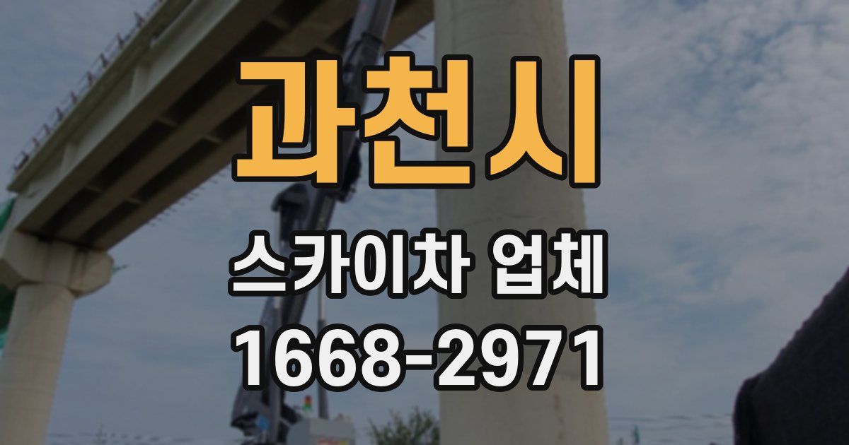 과천시 스카이차 업체