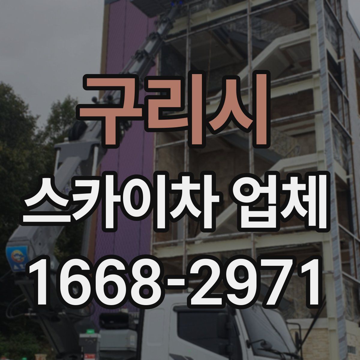 구리시 스카이차 업체