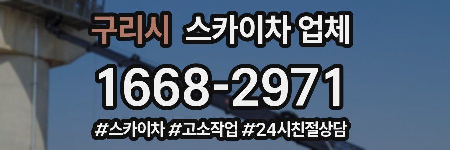 구리시 스카이차 업체
