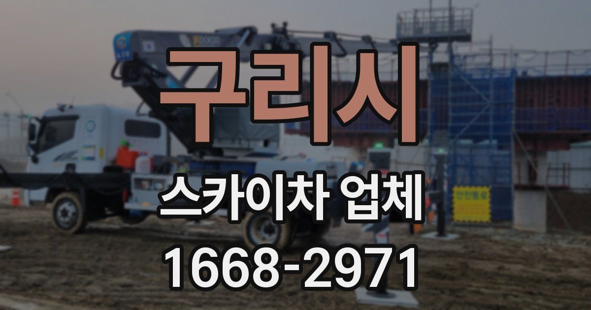 구리시 스카이차 업체