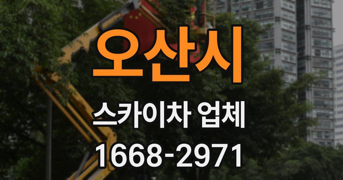 오산시 스카이차 업체