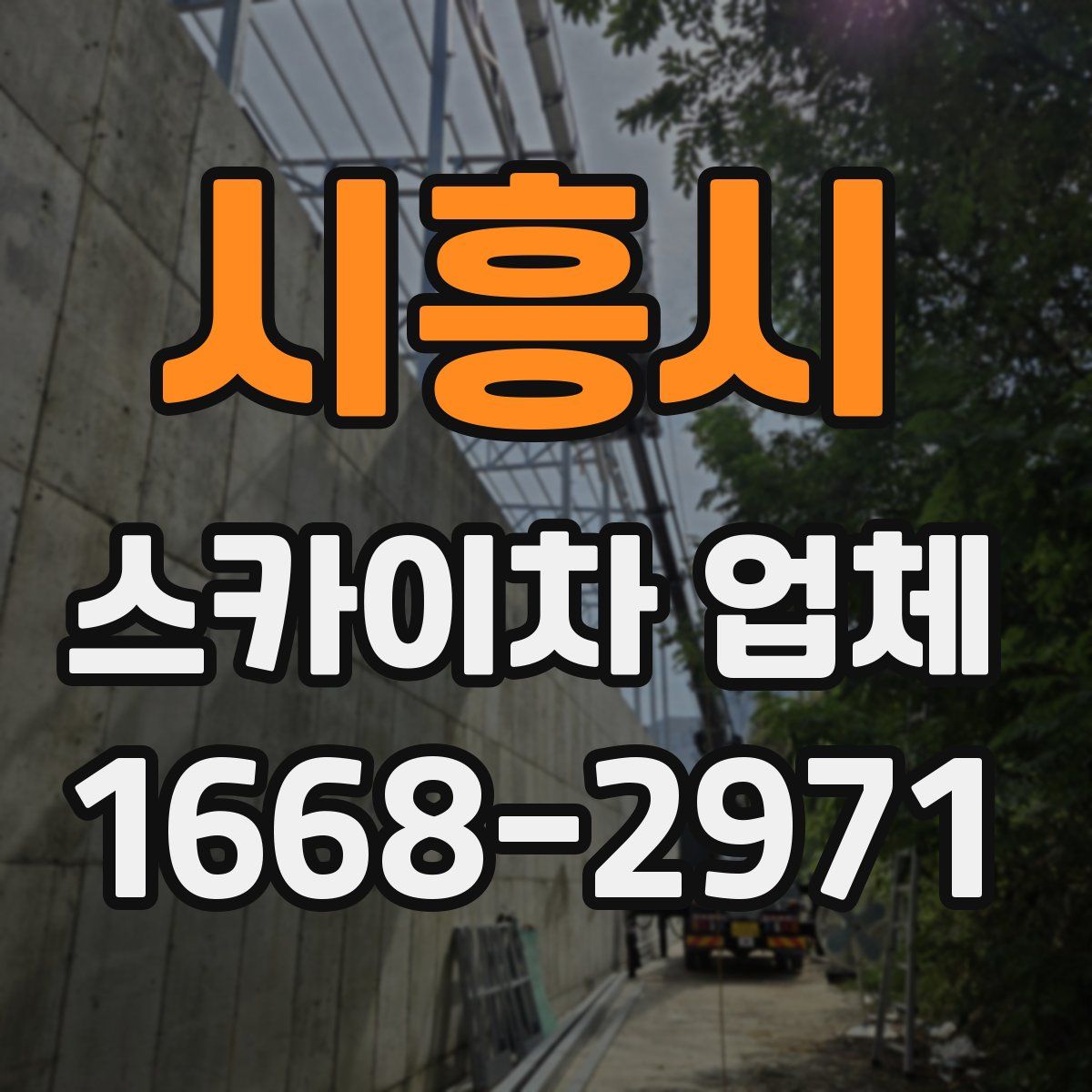 시흥시 스카이차 업체
