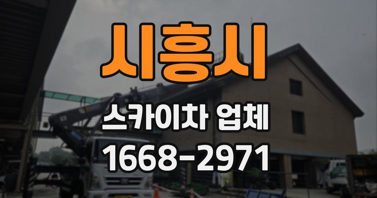 시흥시 스카이차 업체