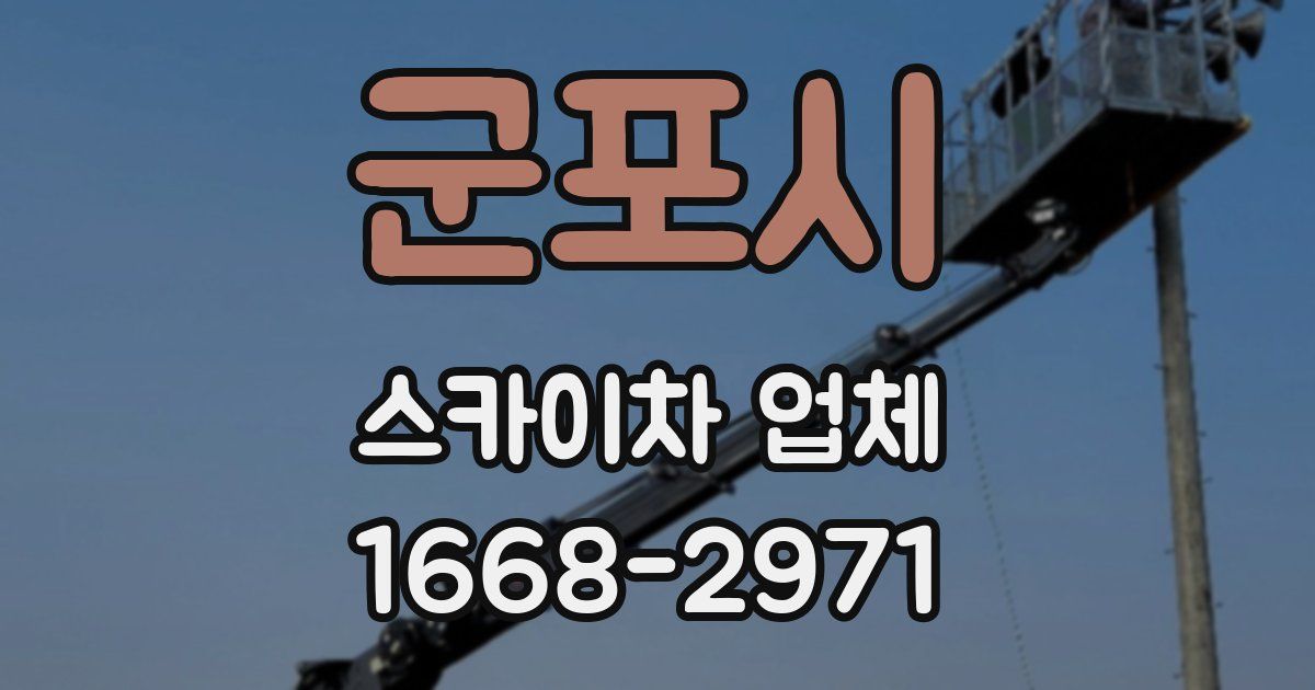 군포시 스카이차 업체