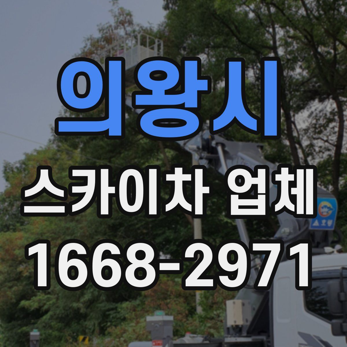 의왕시 스카이차 업체