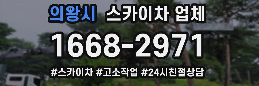 의왕시 스카이차 업체
