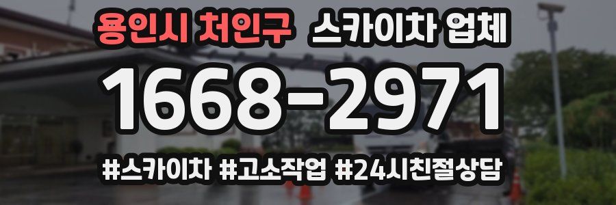 용인시 처인구 스카이차 업체