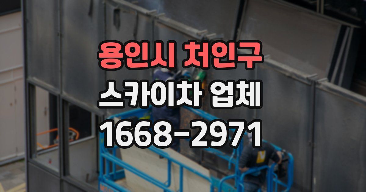 용인시 처인구 스카이차 업체