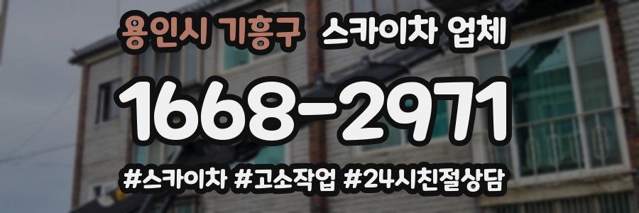 용인시 기흥구 스카이차 업체