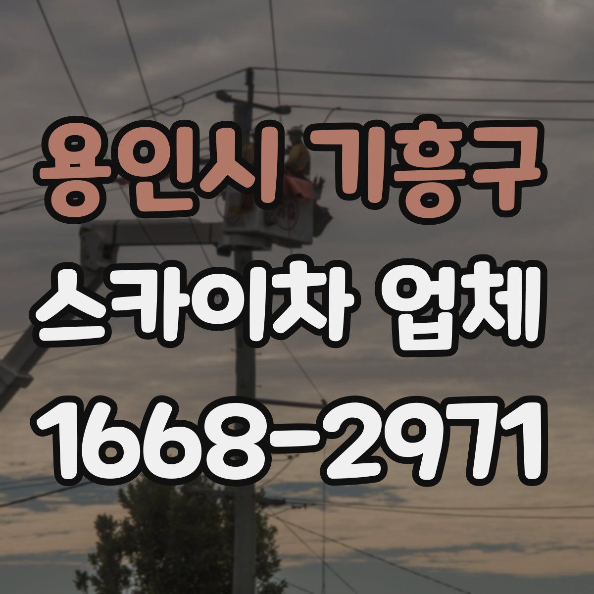 용인시 기흥구 스카이차 업체