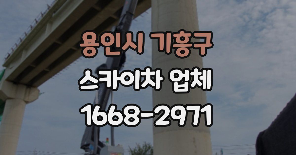 용인시 기흥구 스카이차 업체