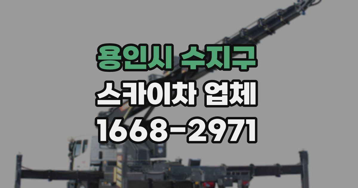 용인시 수지구 스카이차 업체