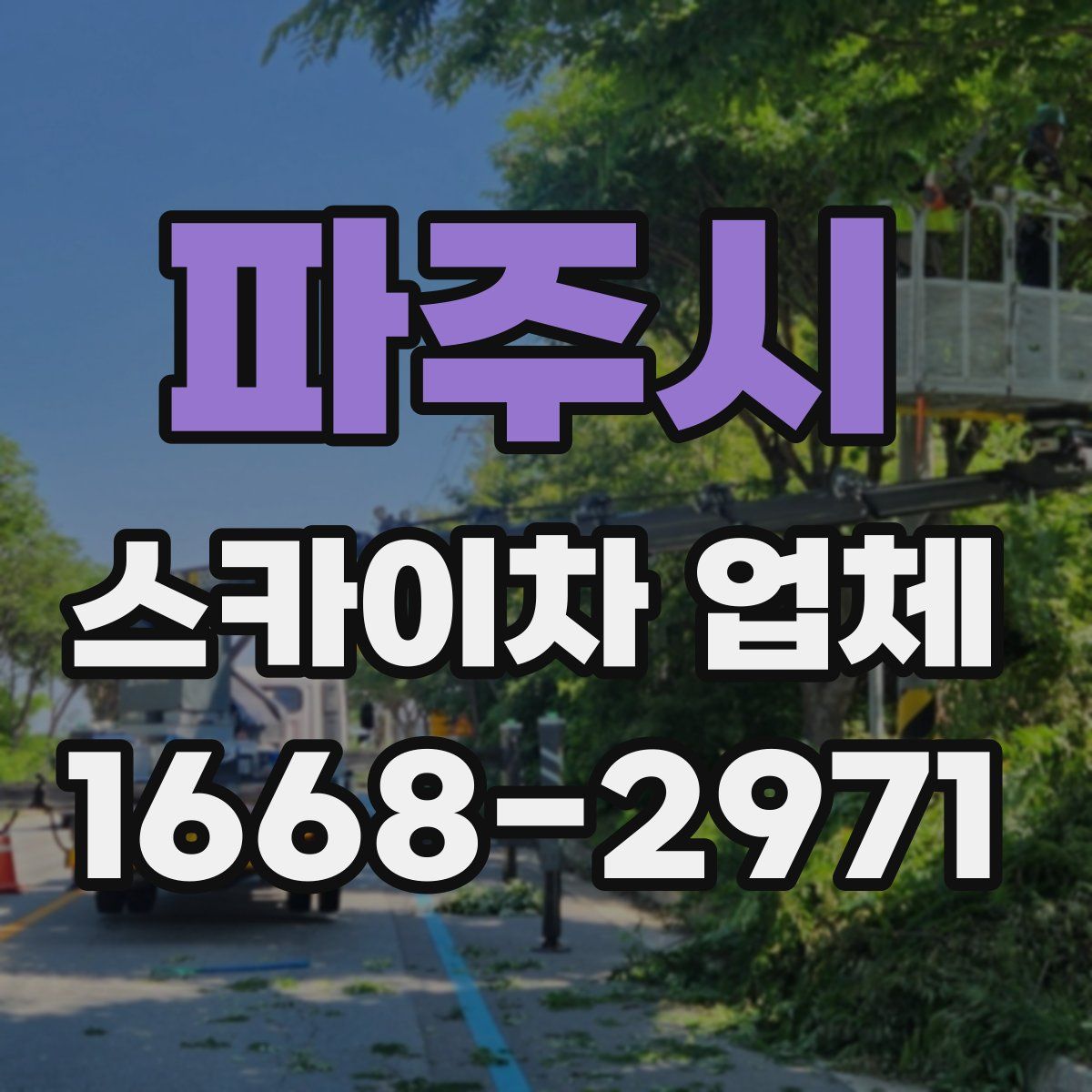 파주시 스카이차 업체