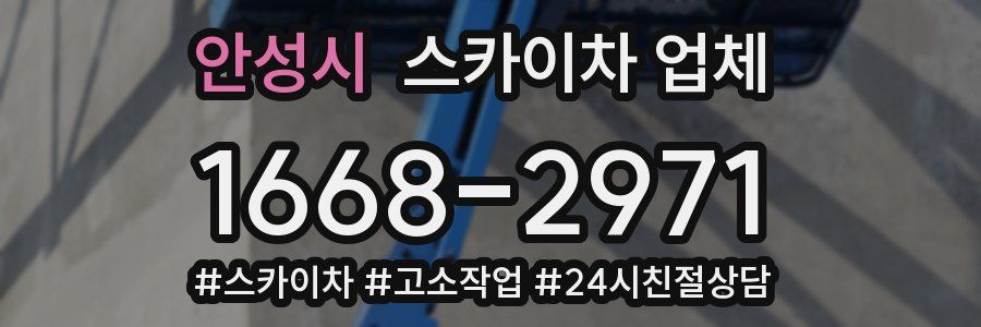 안성시 스카이차 업체