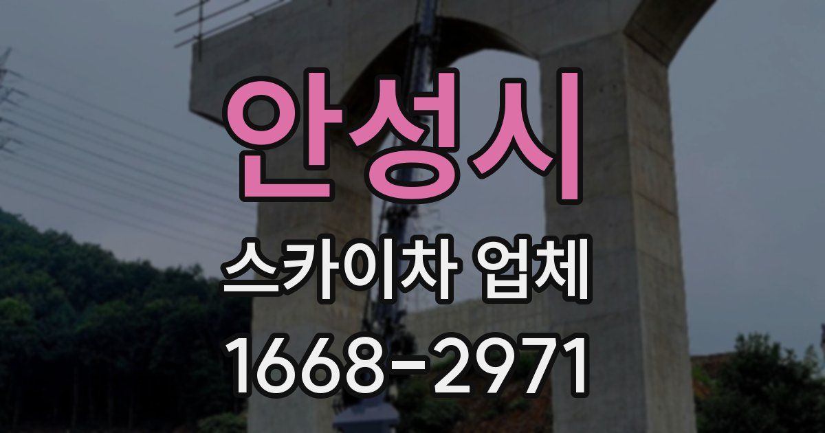 안성시 스카이차 업체
