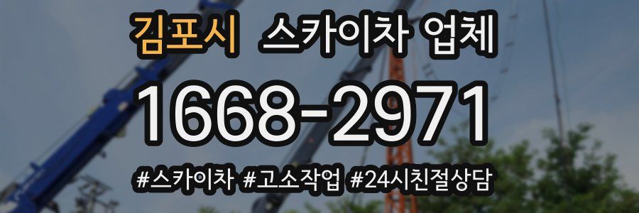 김포시 스카이차 업체