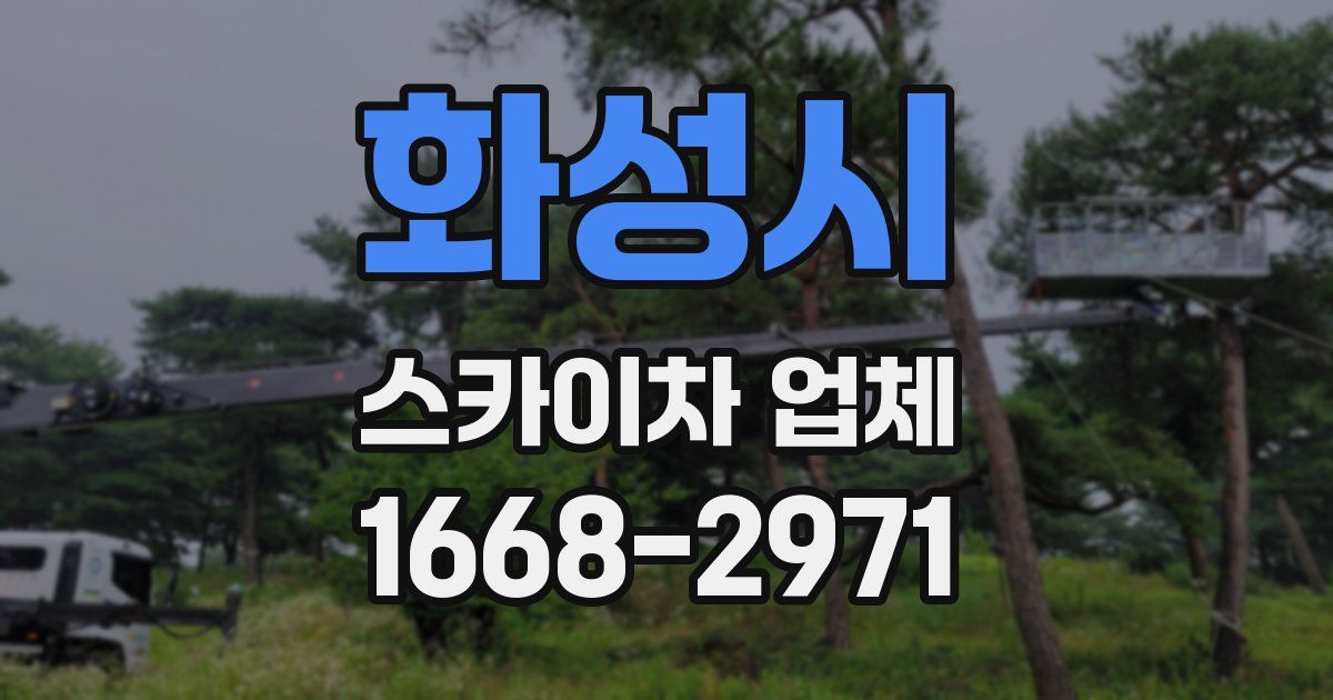 화성시 스카이차 업체