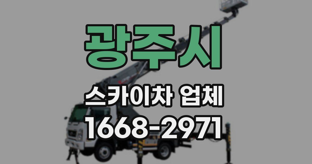 광주시 스카이차 업체