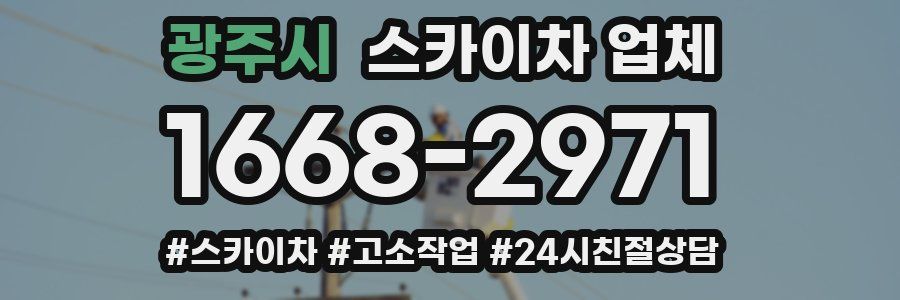 광주시 스카이차 업체
