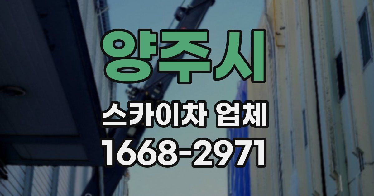 양주시 스카이차 업체