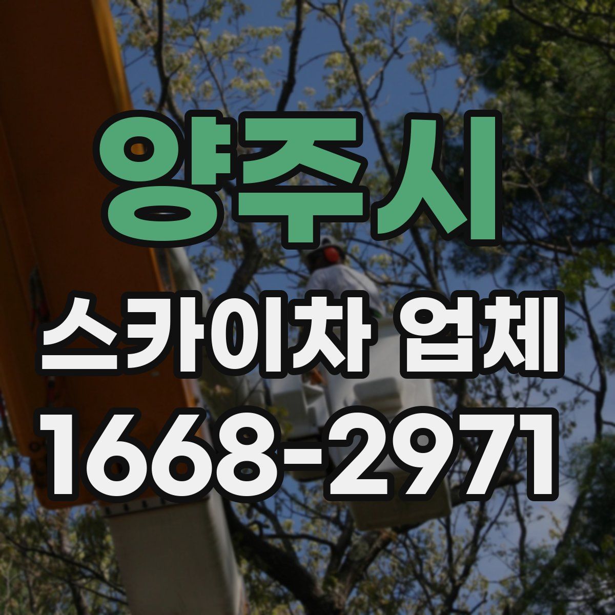 양주시 스카이차 업체