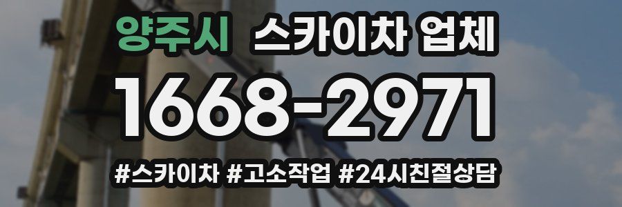 양주시 스카이차 업체