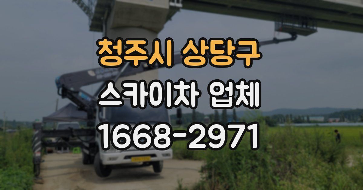 청주시 상당구 스카이차 업체