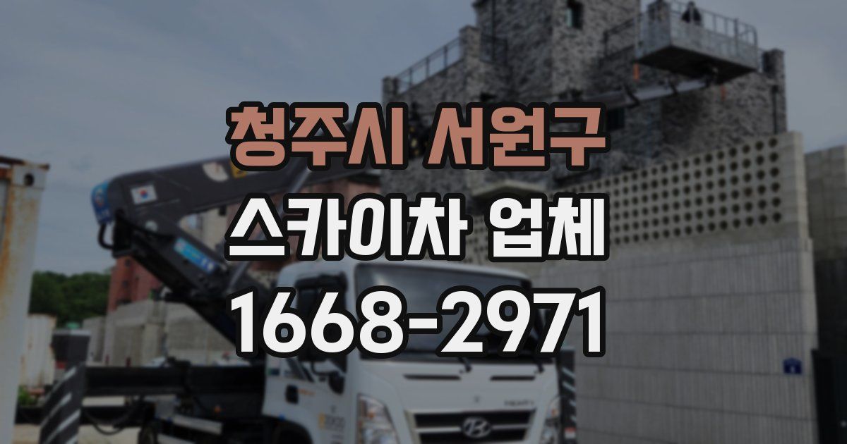 청주시 서원구 스카이차 업체