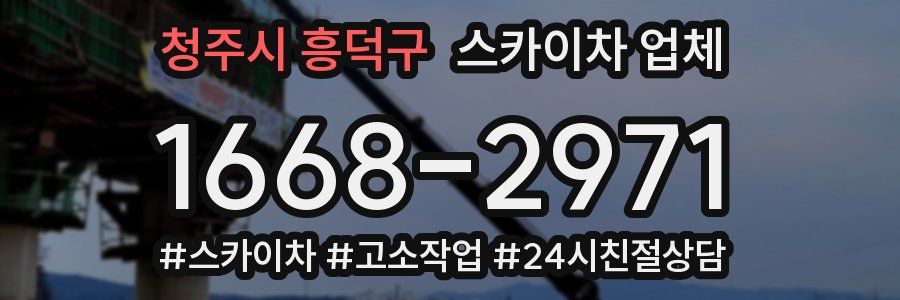 청주시 흥덕구 스카이차 업체