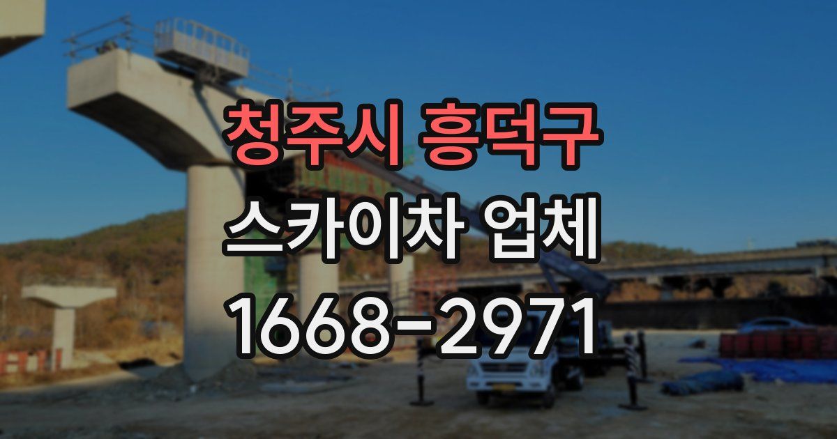 청주시 흥덕구 스카이차 업체